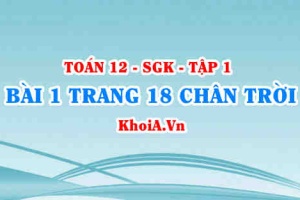 Bài 1 trang 18 Toán 12 Tập 1 Chân trời sáng tạo